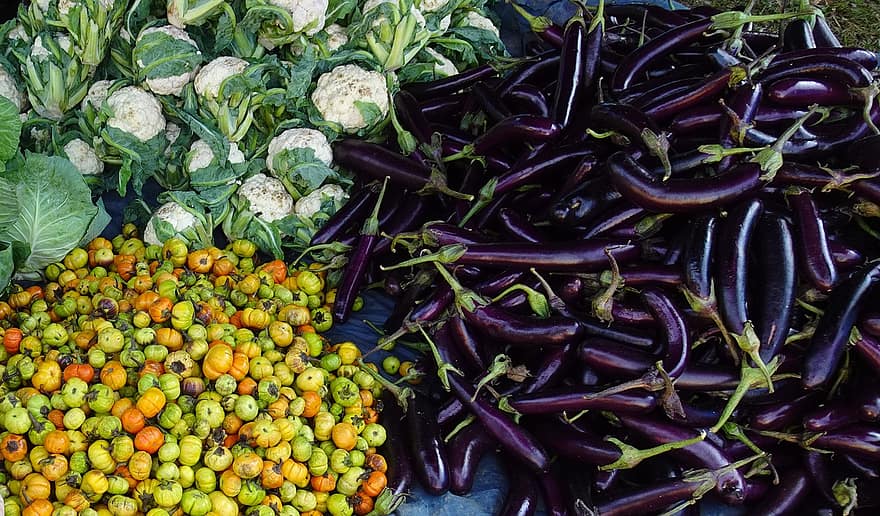grønnsaker, marked, india, auberginer
