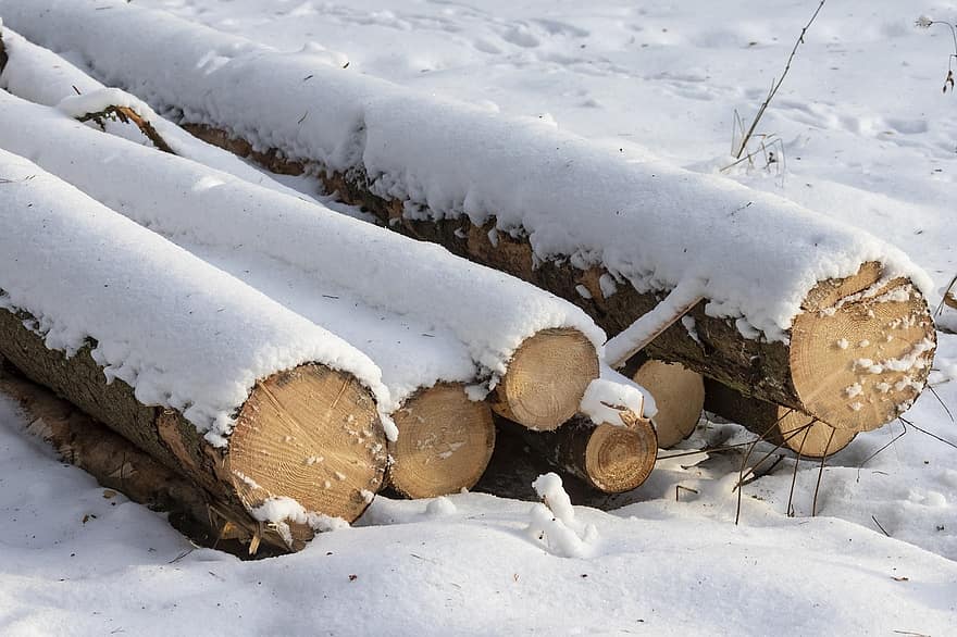 log, træ, sne, Skov, vinter, Brænde, brændestablen, stak, tømmer, tømmerindustrien, bunke