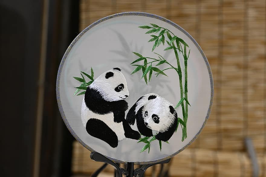 panda, Shu izšuvumi, dzīvnieku, zīdītāju, gudrs, bambusa, augu, apdraudētas sugas, jauns dzīvnieks, mazs, ilustrācija