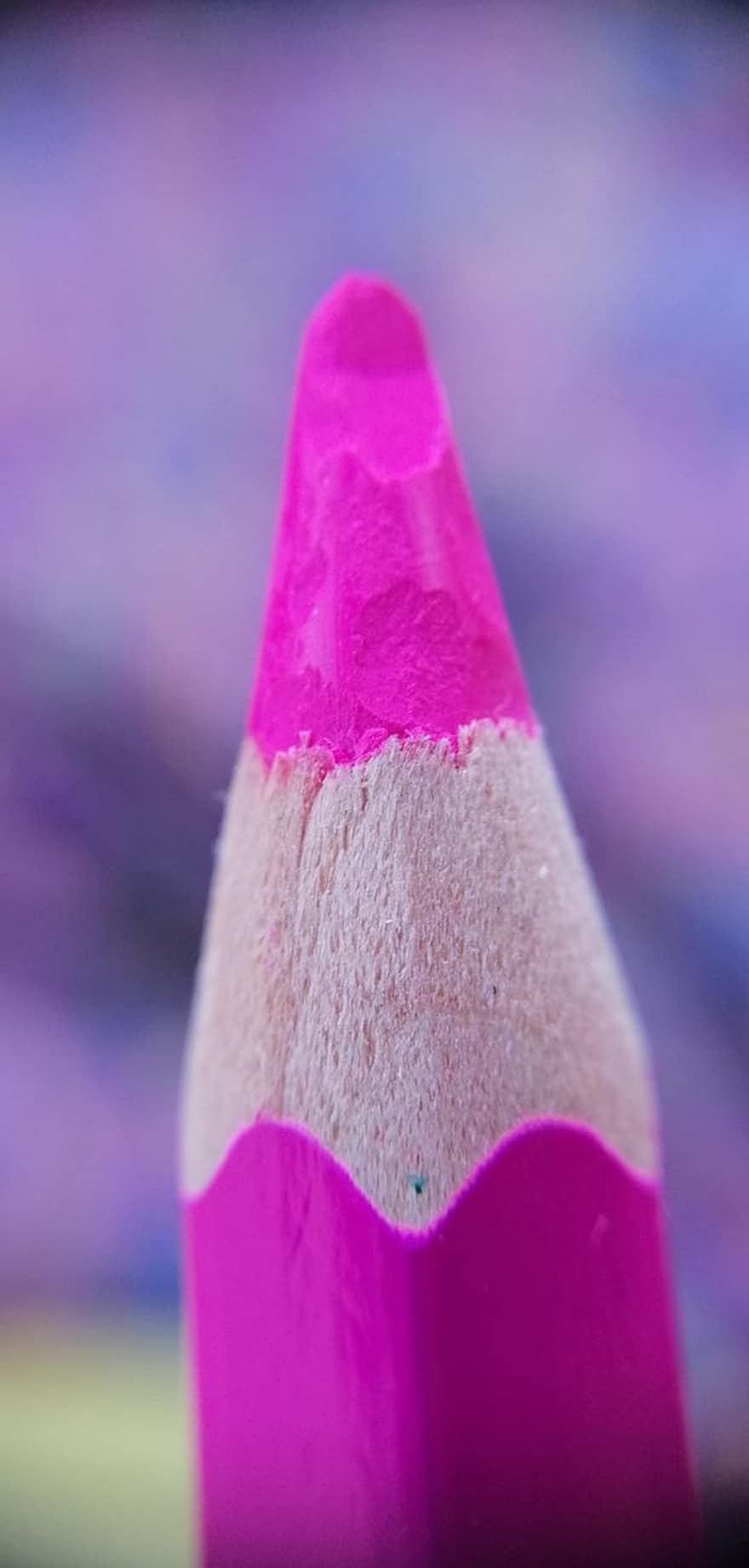 fargeblyant, Rosa blyant, Rosa fargeblyant, rosa, kunst og Håndverk, kunstartikler, fargemateriale, fargelegging, makrofotografering, bokeh