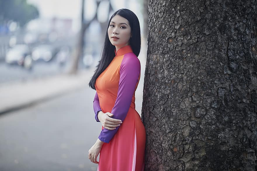 Βιετναμέζικο παραδοσιακό νέο έτος, Βιετναμέζικο μοντέλο, Πόσο καιρό είναι βιετναμέζικο, Παραδοσιακό φόρεμα Βιετνάμ, πάρκο, Μοναχικό κορίτσι στο Ao Dai, μακριά φούστα, ασιατική γυναίκα, μόδα, μακροζωία, ενήλικος
