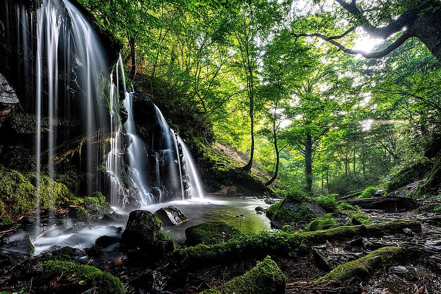 Landschaft, ein kleiner Wasserfall, Buchenwald, Asahi, Pflanze, Wasserfluss, Moos, Rock, Präfektur Hyogo