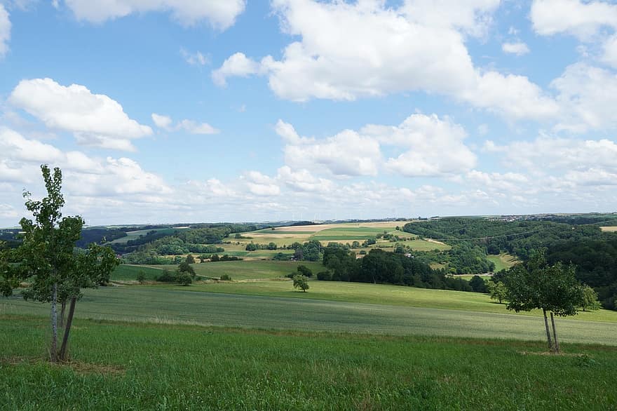 Felder, Landwirtschaft, Pfalz, Sommer-, Acker-, Natur, Himmel, ländlich, Wolken, Wiese, Ernte