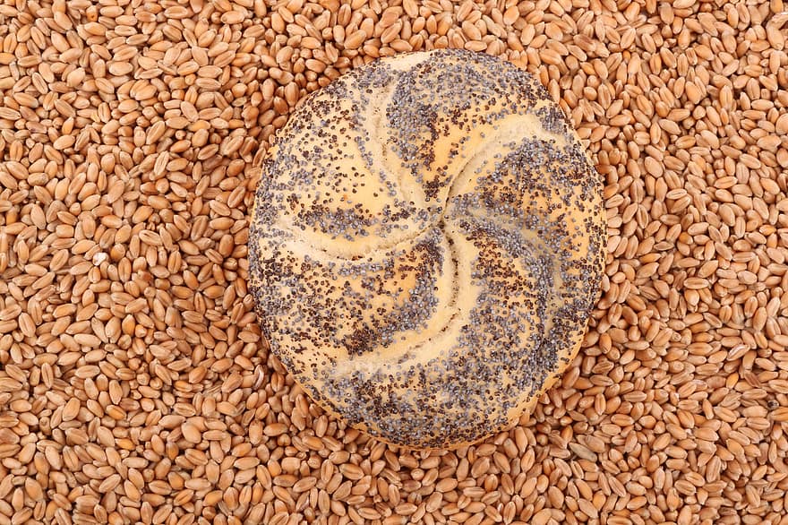 un pan, Pan de semillas de amapola, granos, galleta, bollo, rollo de pan, comida, semilla, agricultura, de cerca, alimentación saludable