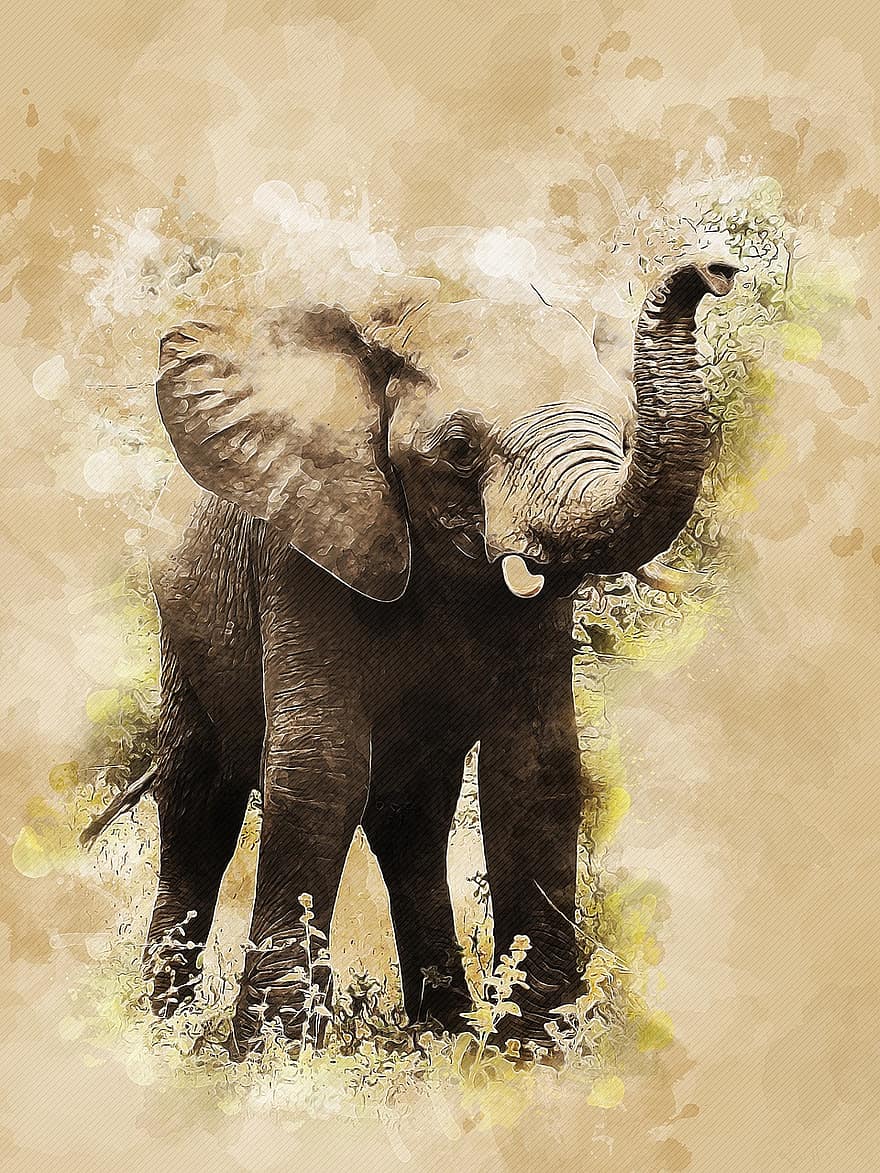 الفيل ، عجل الفيل ، الحيوان الثديي ، الثدييات الكبيرة ، حيوان ، الحيوانات البرية ، برية ، عالم الحيوان ، حيوان كبير ، الشثني حيوان ، أفريقيا
