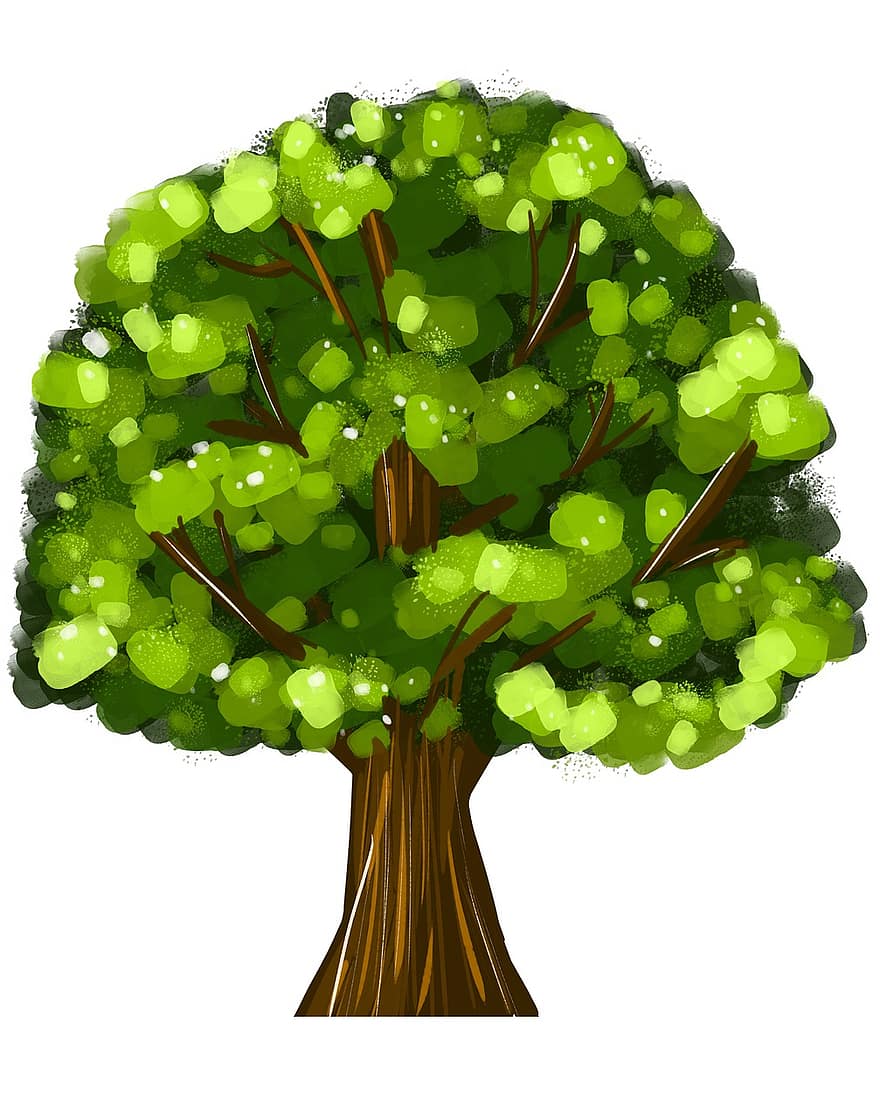 arbre, tronc, feuilles, branches, de plein air, écorce, croissance, bois