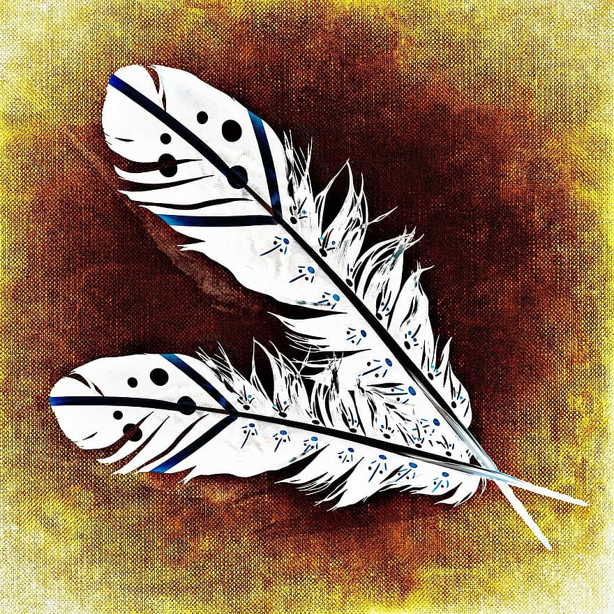 plume, plumes d'oiseaux, abstrait, plumage