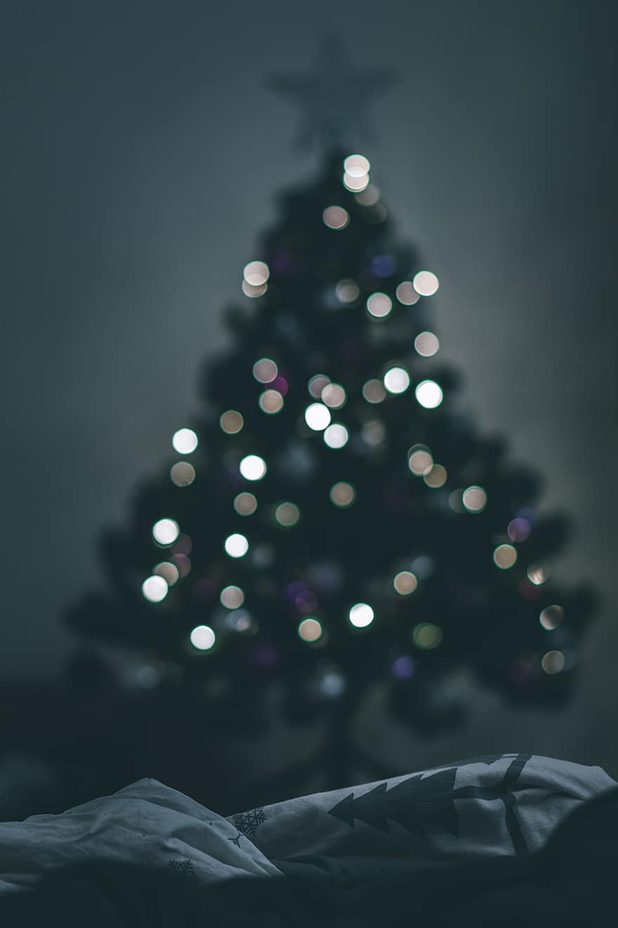Brad de Crăciun, Crăciun, bokeh, Lumini de Craciun, concediu, decembrie, decor