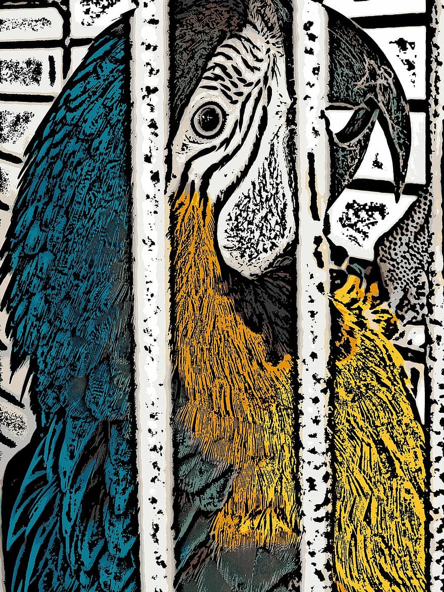 art numérique, perroquet, oiseau, en cage, fermer, le bec, bleu
