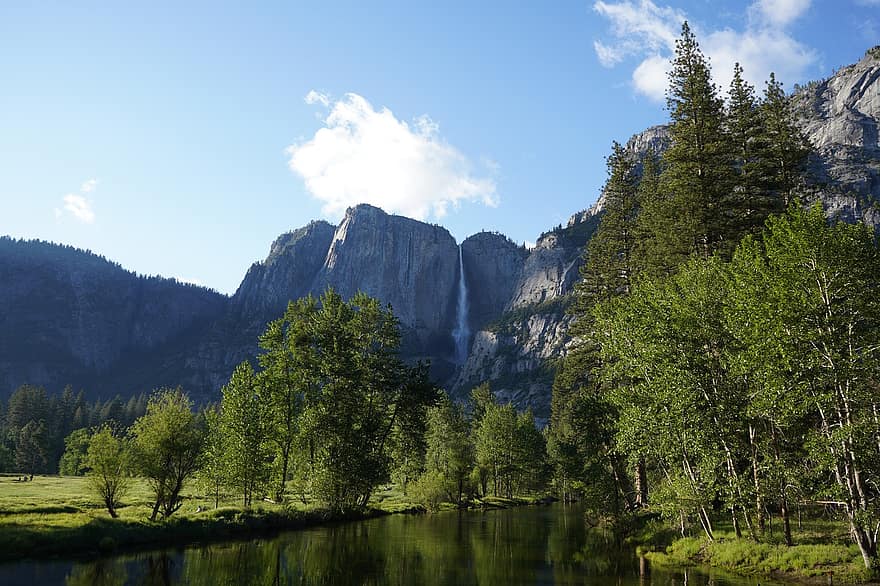 joki, Yosemiten kansallispuisto, vuori, metsä, maisema, Kalifornia, kansallispuisto, vesi, puu, kesä, vihreä väri