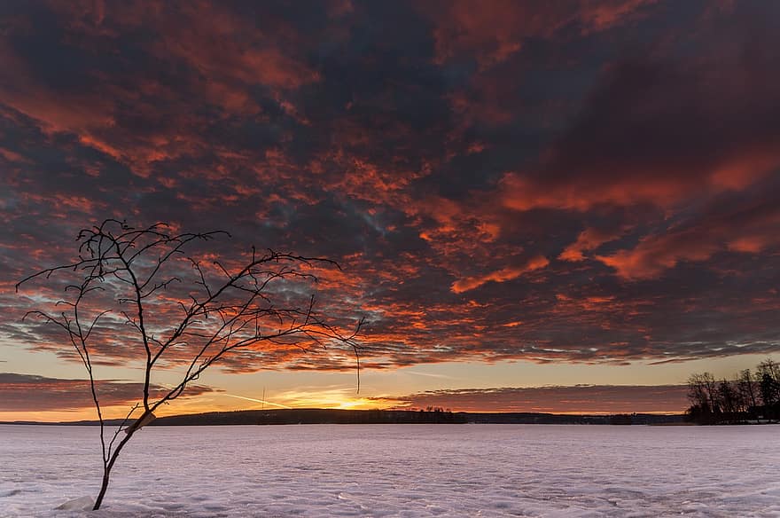 замороженный, озеро, заход солнца, замерзшее озеро, облака, Cloudscape, картина, изображающая небо, смеркаться, сумерки, горизонт, дерево
