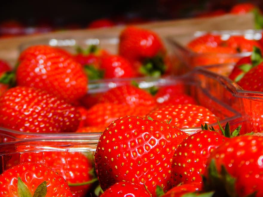 fruit, des fraises, biologique, baie, fraise, fraîcheur, aliments, fermer, alimentation saine, fruits des baies, mûr