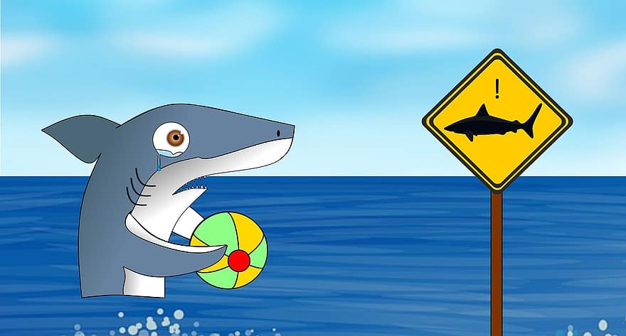 cápa, hai, viccek, vicces, komikus, móka, tenger, víz, úszás, kockázat, úszó