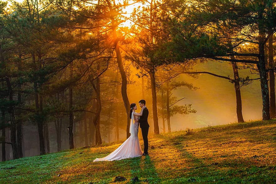 Couple, Romance, Nature, Love, Together, Pair, Bride, Groom, Marriage, Outdoors, Wedding