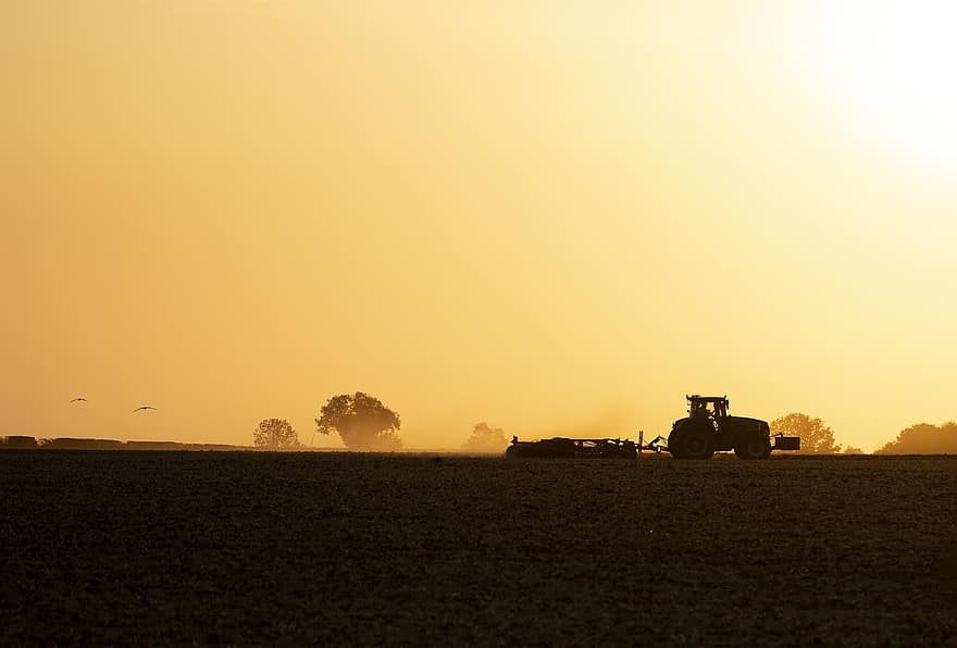 tracteur, ferme, le coucher du soleil, récolte, moissonneuse, moissonneuse-batteuse, des silhouettes, des champs, terres arables, agriculture, cultivation