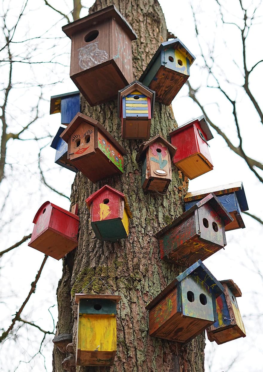鳥の家、手芸、森林