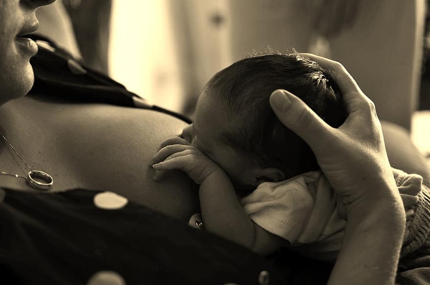 borstvoeding, baby die borstvoeding geeft, Pasgeboren borstvoeding, moederschap, baby