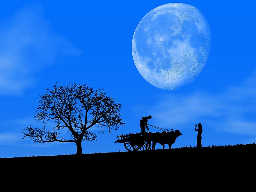 กลางคืน, ท้องฟ้า, สีน้ำเงิน, ดวงจันทร์, ช่องว่าง, ธรรมชาติ, เกวียน, วัว, งาน, ชาวนา, หญิง