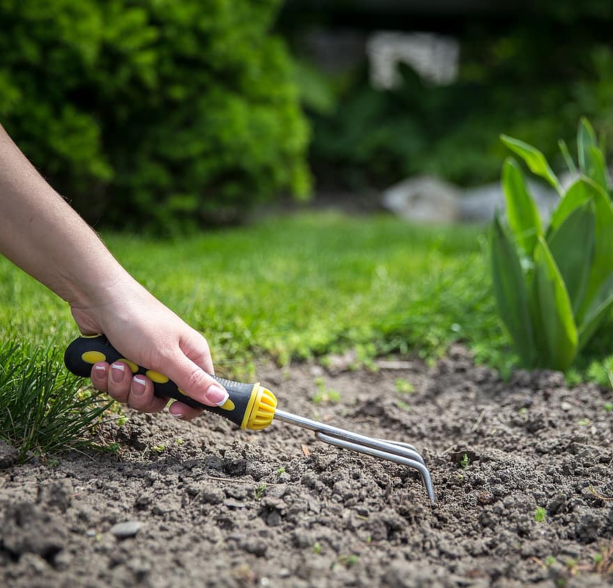 градинарство, култивиране, градина, заден двор, природа, работа, селско стопанство, мръсотия, лято, лопата, човешка ръка