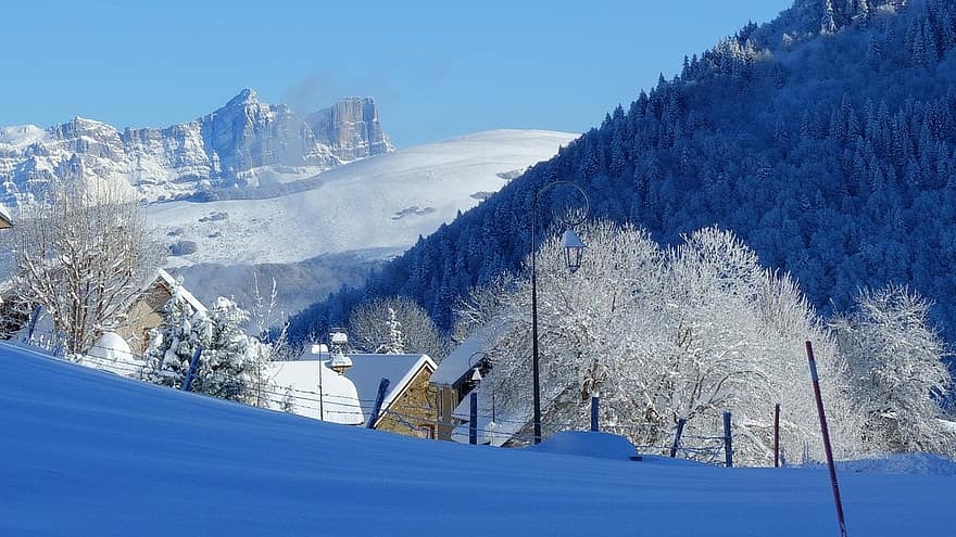 планина, сняг, дървета, станция, Оранжерия Alpe Du Grand, Франция, Коледа, зима