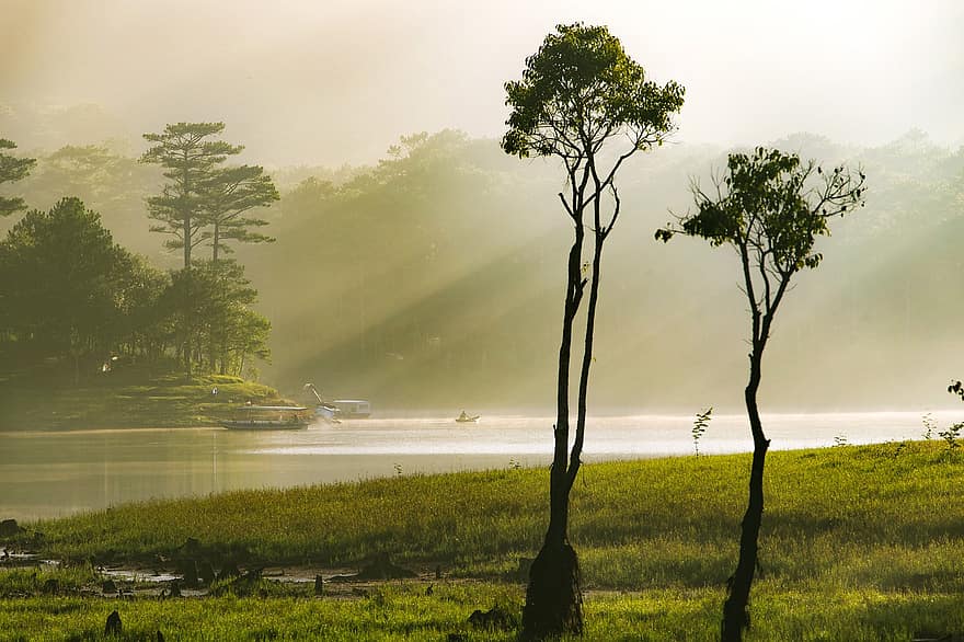 trær, natur, utendørs, reise, utforskning, oppdagelse, landskap, Tuyen Lam Lake, da lat, tre, vann