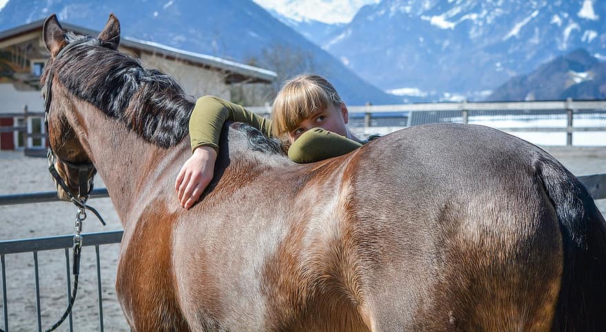Horse, Animal, Girl, Brown Horse, Mammal, Equine, Young Woman, Love, Friends, Closeness, Connection