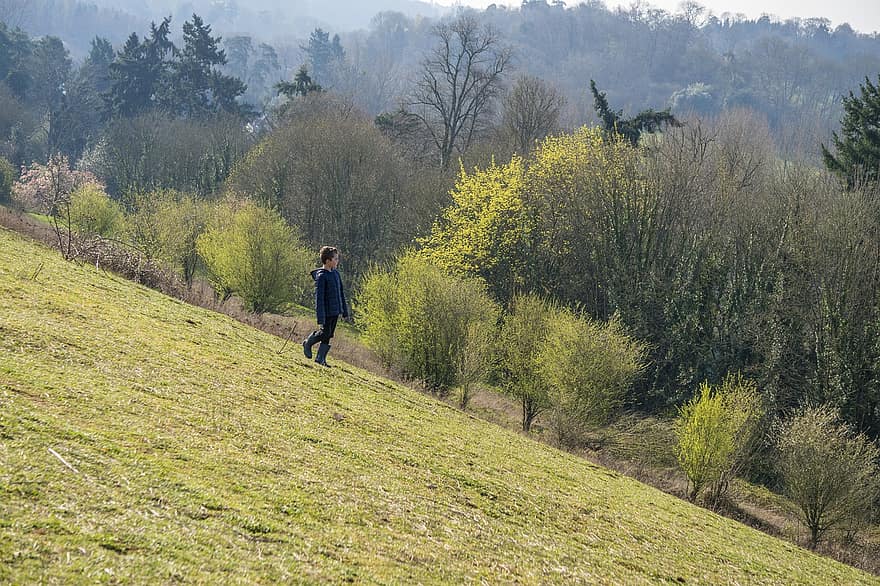 Hill, Boy, Surrey, England, Nature, men, tree, hiking, rural scene, adventure, forest