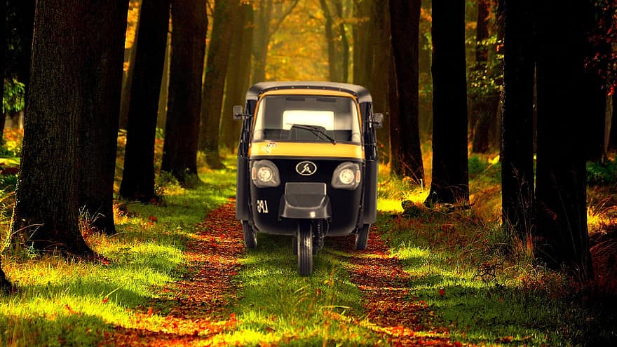 auto rickshaw, vehículo, bosque, tuk tuk, sendero, camino, la carretera, camino forestal, naturaleza, paisaje, arboles