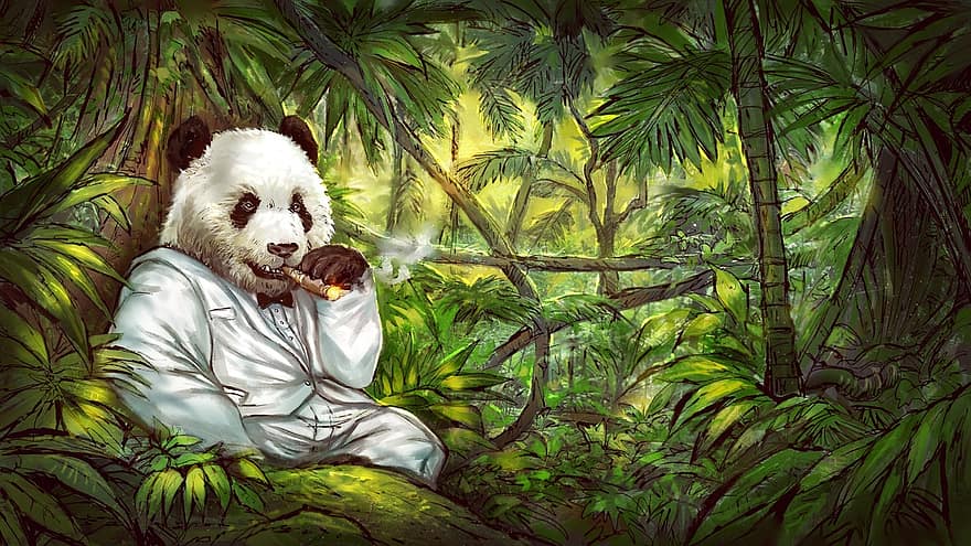 гигантская панда, панда, иллюстрация, сигара, костюм, джунгли, природа, черный, белый, зеленый, сшитый костюм