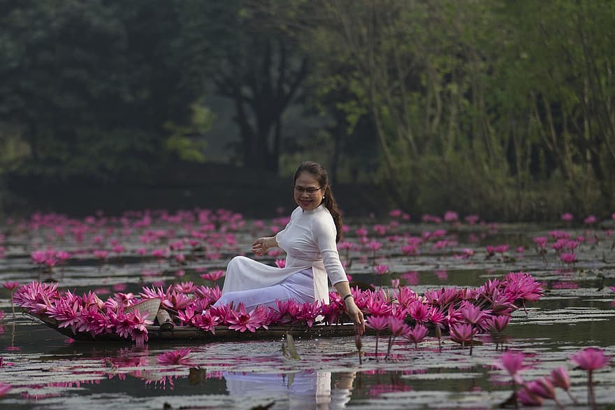lotuses, blommor, kvinna, vit klänning, rosa blommor, lotusblommor, näckrosblad, blomma, kronblad, rosa kronblad, flora