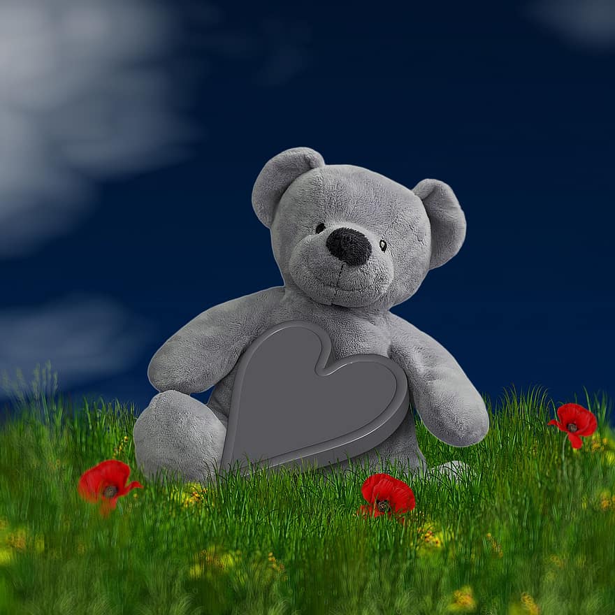 teddy, Björn, romantisk, nallebjörn, tillgivenhet