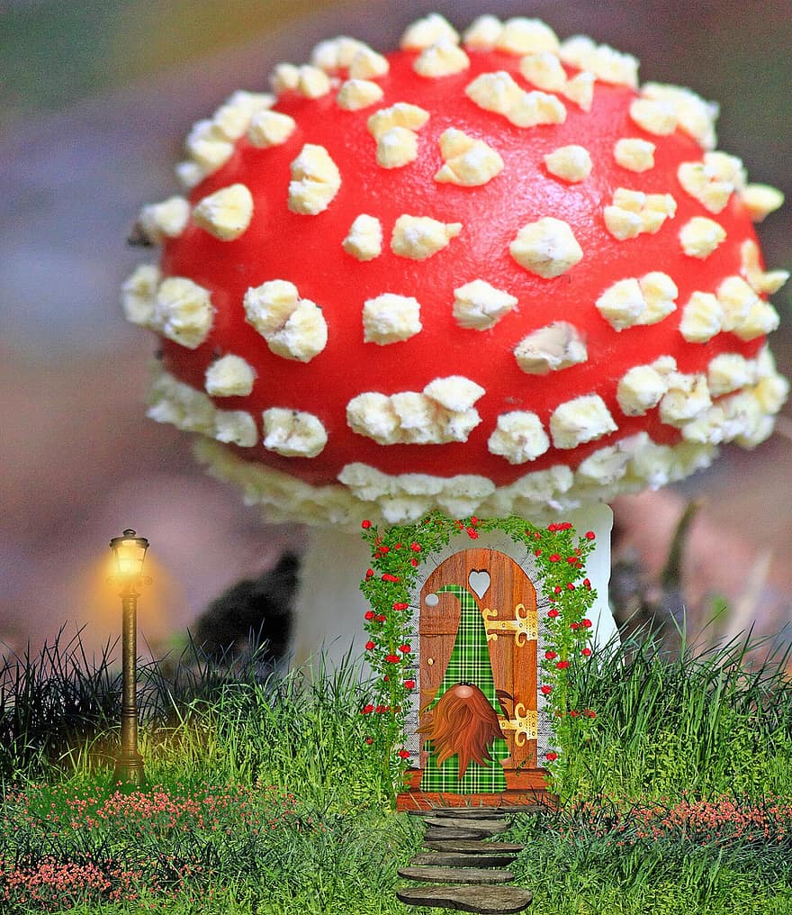 gnome, skägg, svamp, hus, dvärg-, stuga, älva, blommor, skog, dörr