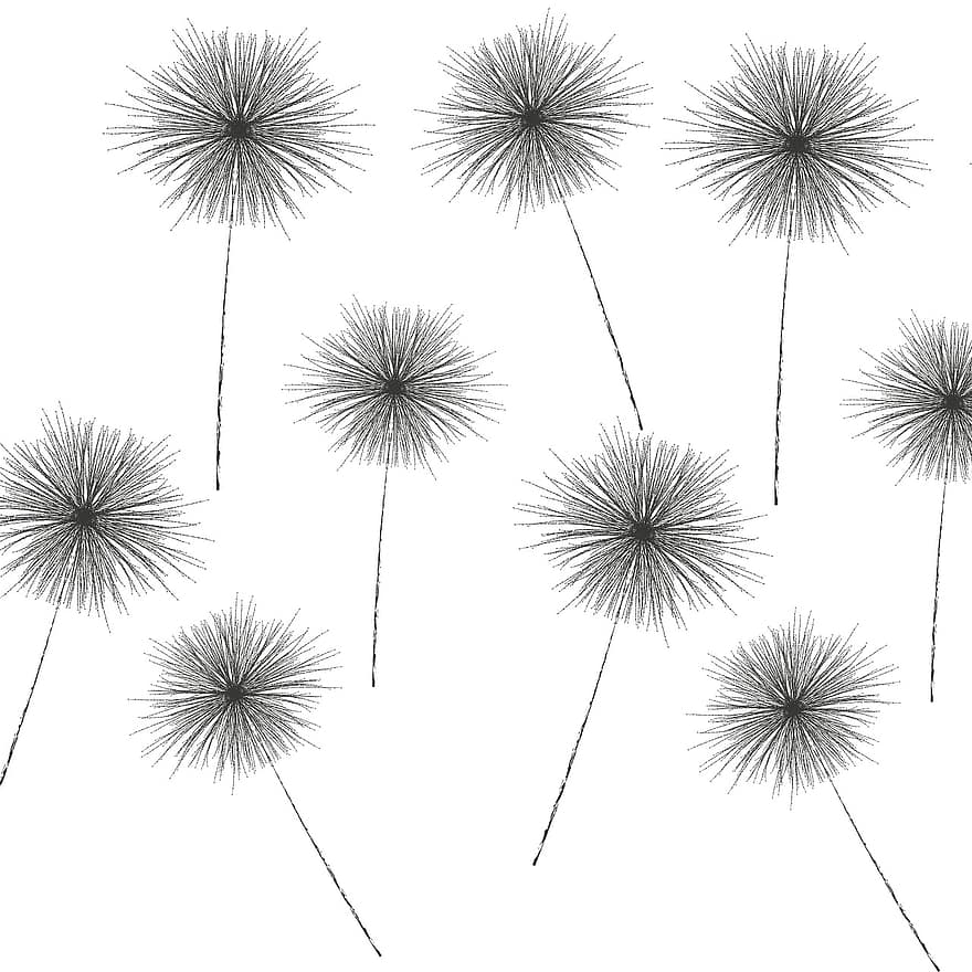 Dandelions, Seeds, Fluff, Plants, To Grow, Drawing, Texture, Fine Lines, illustration, vector, plant