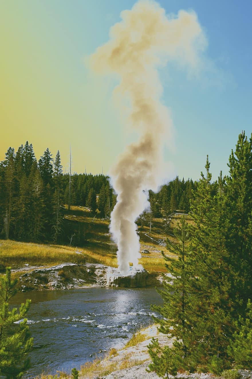 Geyser, Volcanic, Steam, Hot Source, Usa, Outdoors, Trees, Water, Grasslands, Source, Water Vapor