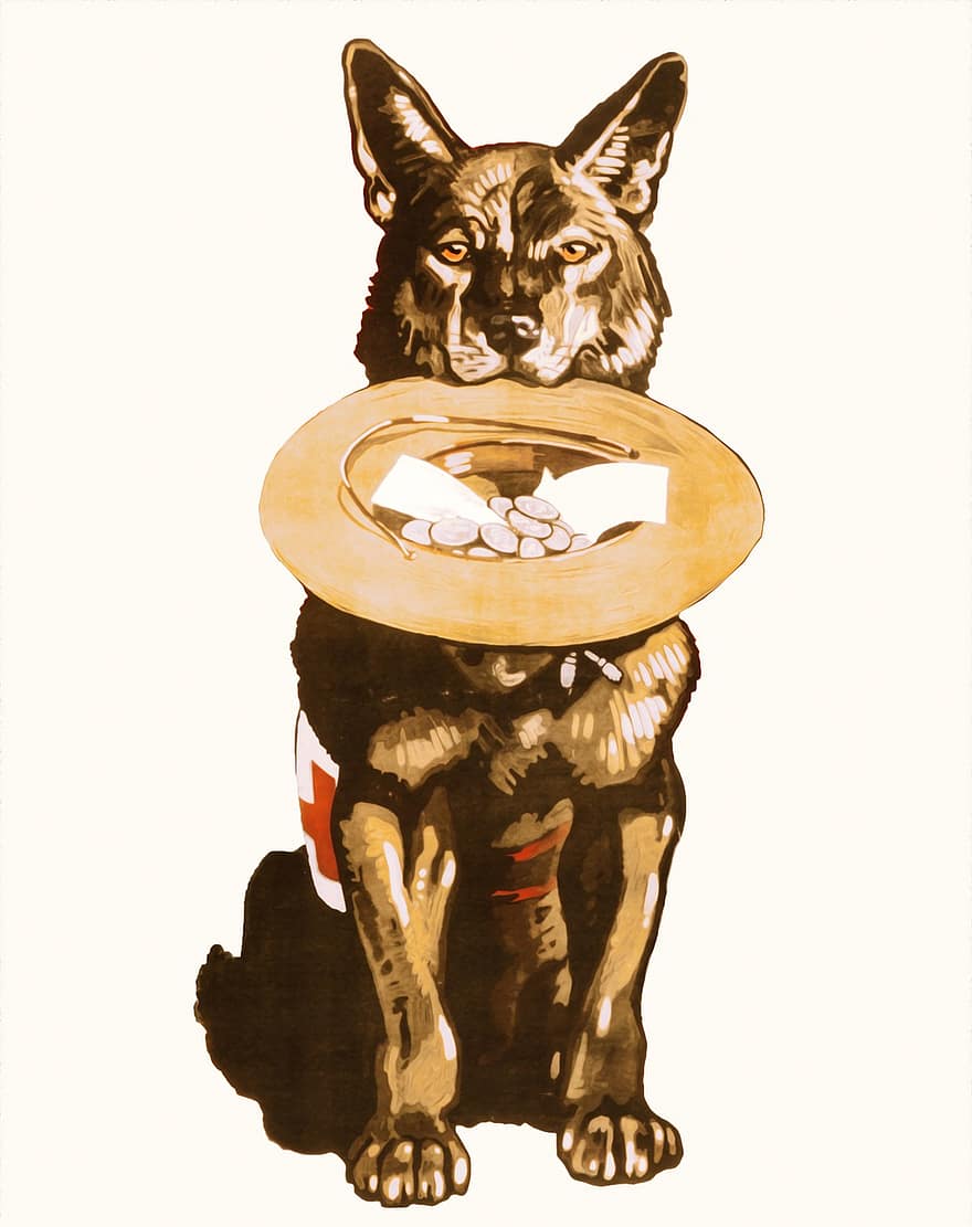 Dog, Vintage, Donations, German Shepherd, Police Dog, Canine, Hat, Donate, Antique, Puppy, Animal