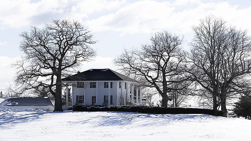 dom, śnieg, zimowy, Dom, zaspa, zimno, mróz, kabina, architektura, drzewa, drzewo