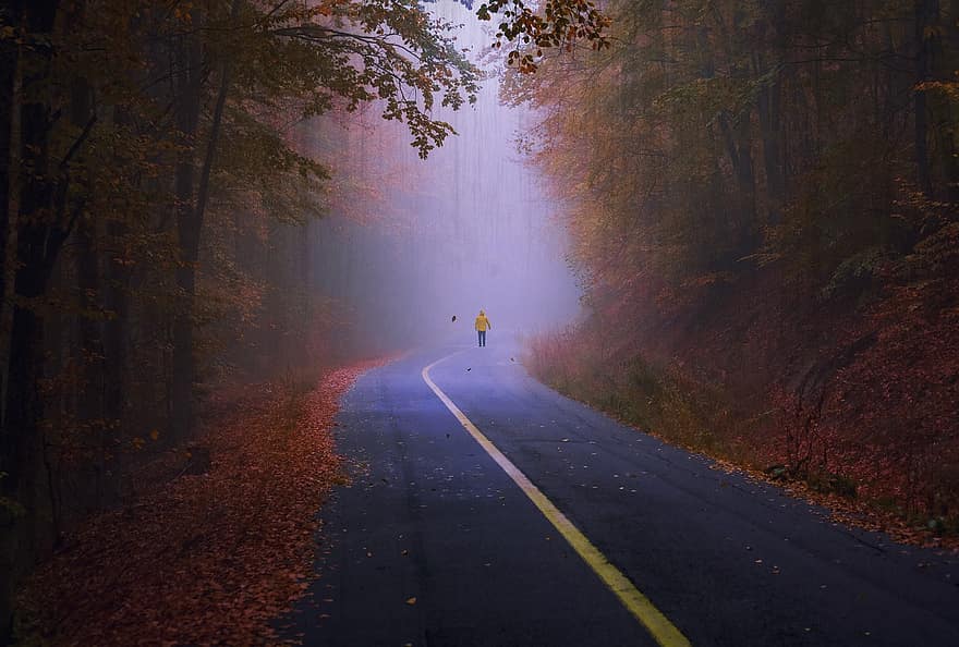 silnice, Příroda, cestovat, průzkum, podzim, sezóna, venku, hrůza, strašidelný, děsivé, mlha