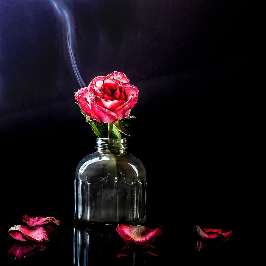 růže, kouř, abstraktní, váza, květ