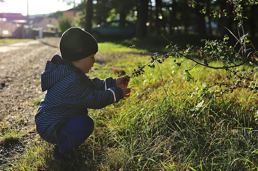 लड़का, खेल रहे हैं, पौधों, बच्चा, जवान लडका, छोटा बच्चा, चंचल