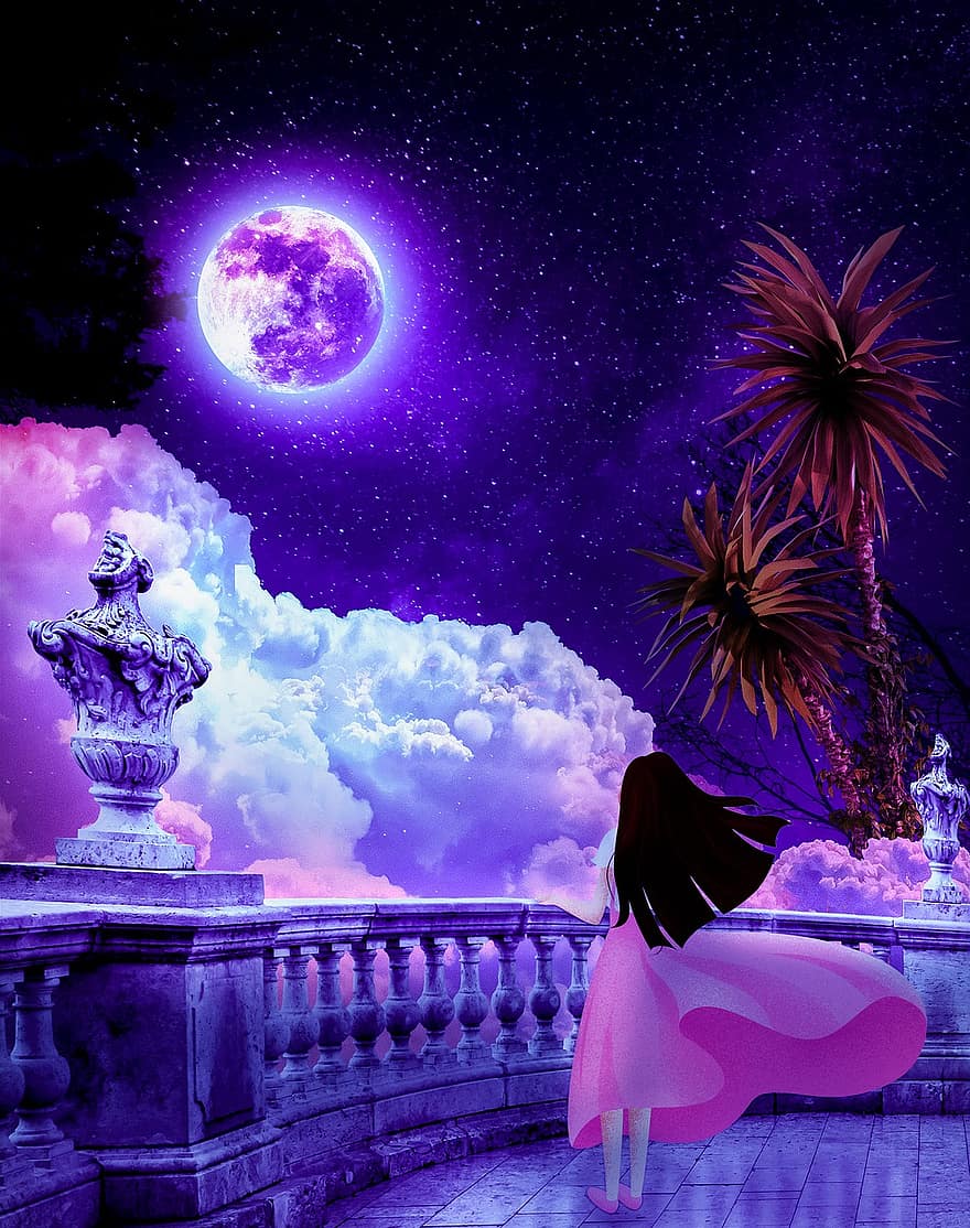 فتاة الخلفية ، ضوء ، ليل ، شجرة النخيل ، القمر ، ضوء القمر ، أنثى ، الفن الرقمي