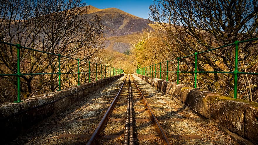 wales, Snowdonia, jernbane, skinne, bro, landskap, fjell, llanberis, skog, jernbanespor, reise