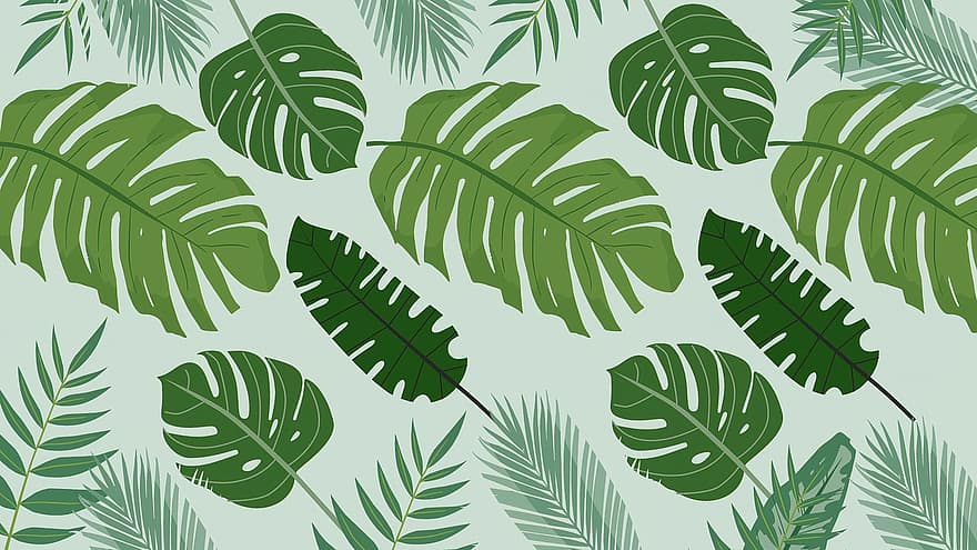 Blätter, Laub, Pflanzen, Muster, Grün, Tapete, Hintergrund