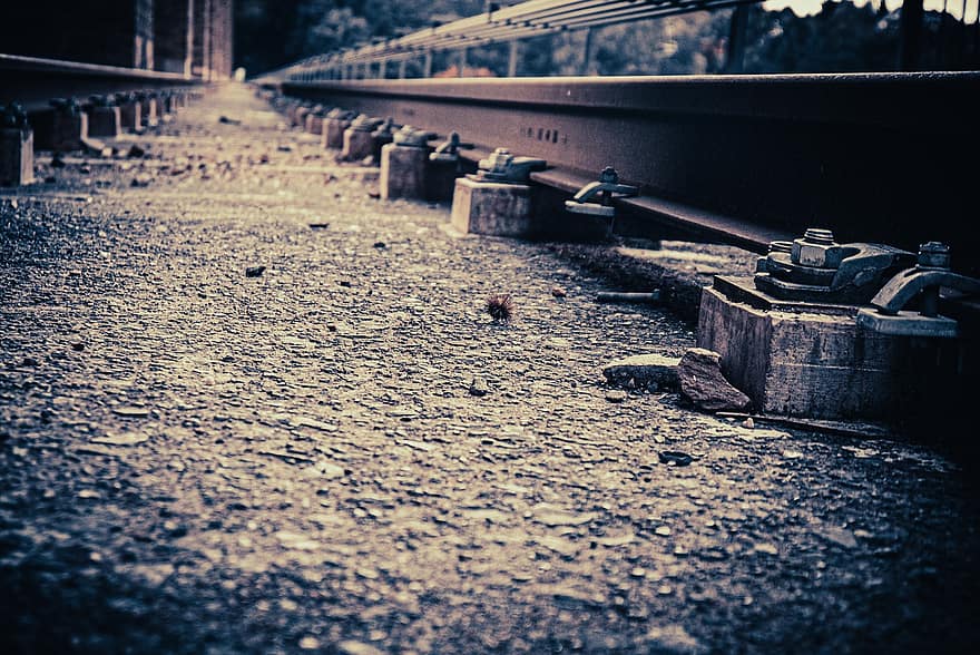 релса, жп линия, железопътна линия, перспектива