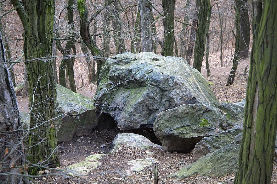 Rocks, Stones, Trees, Winter, Wood, Forest