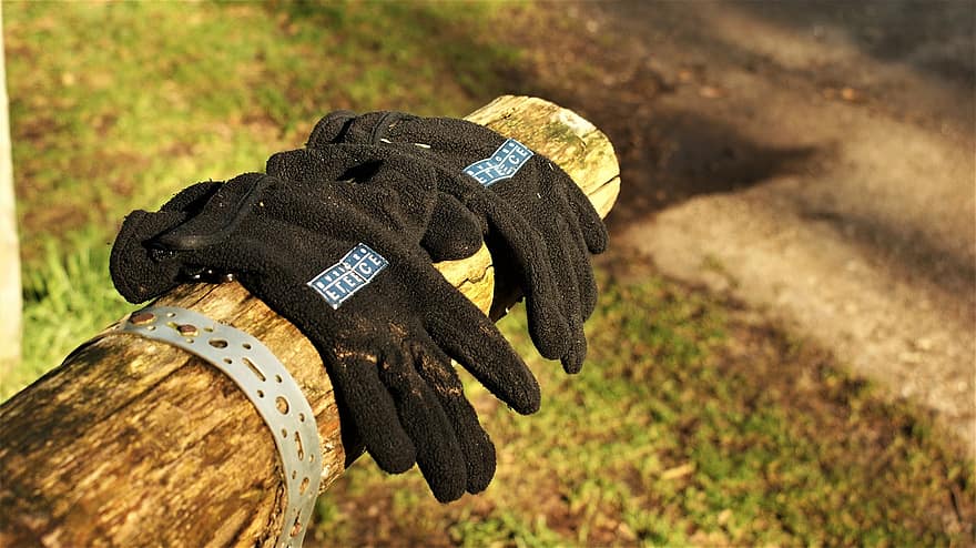 zgubiony i znaleziony, Zagubione rękawiczki, rękawice robocze, rękawiczki, las, rękawica ochronna, jesień, rękawica, drewno, pora roku, sprzęt