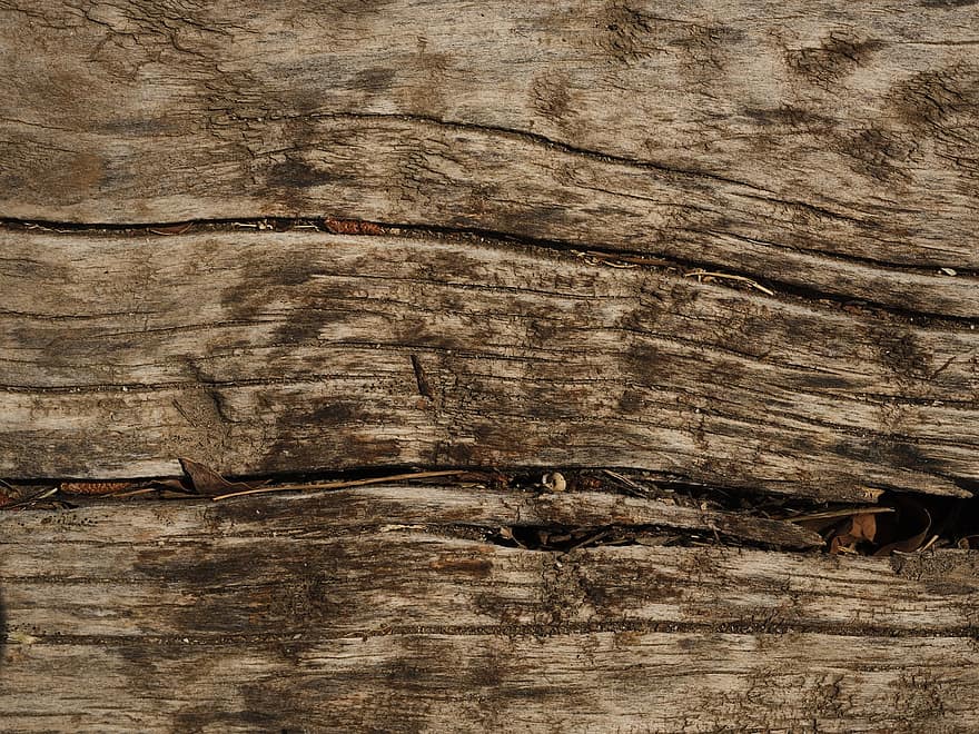 permukaan kayu, kayu, Latar Belakang, makro, mebel, Bahan Kayu, dinding kayu, latar belakang, tua, pola, pohon