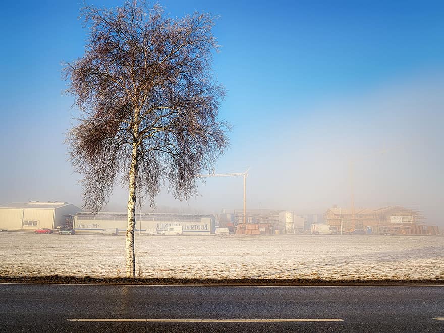 зима, сняг, път, дърво, асфалт, поле, фабрика, мъгла, пейзаж, бреза, гола дърво