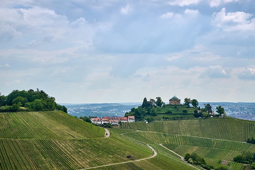 vingård, kirke, Stuttgart, Stuttgart-rotenberg, vindyrking, vin, vinstokker, Gravkapell, historisk, sightseeing