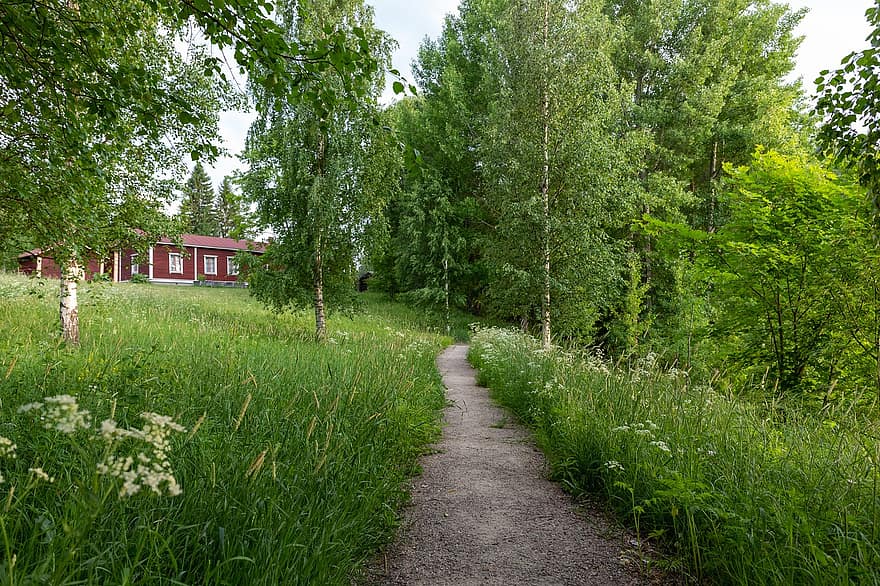 vasarā, māja, raksturs, saule, koki, mežs, zaļa, Somija, ainavu, pārgājienu taka, meditācija