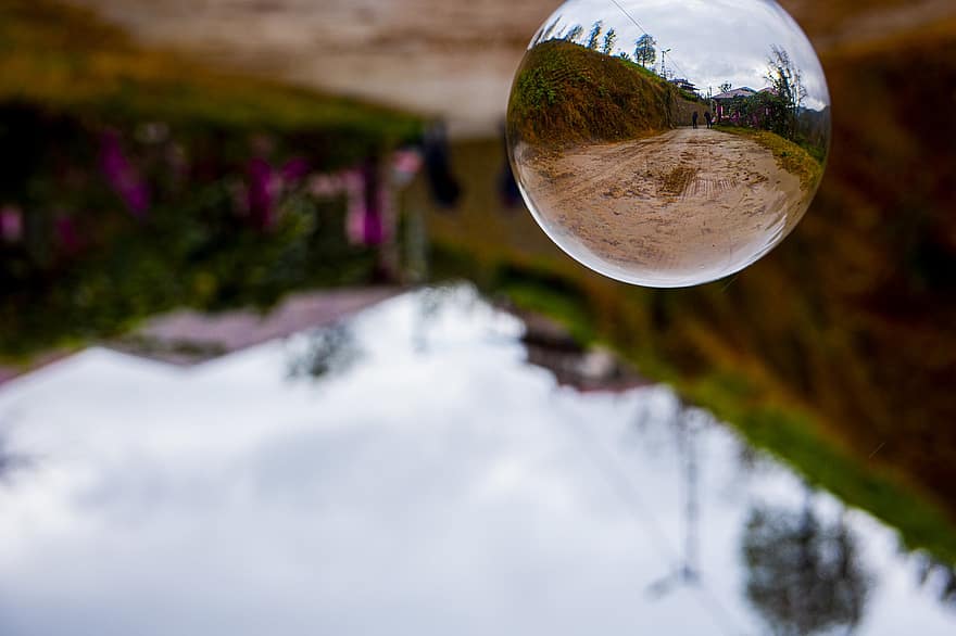 bola de la lente, reflexión, árbol, plantas